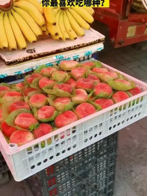 天水秦安蜜桃大量上市,你最喜欢吃哪种 优质农产品 这个夏天