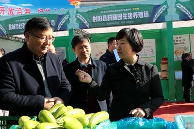 射阳县人民政府 政务新闻 [图]县举办第二届特色农产品展销会暨食用菌产业发展论坛活动