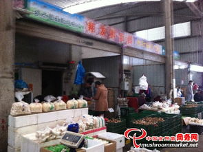 上海江杨农产品批发市场食用菌产品交易现场